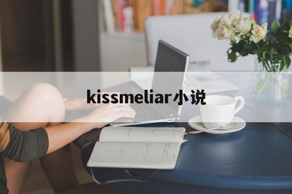 kissmeliar小说(kissmeliar小说 完结了吗)