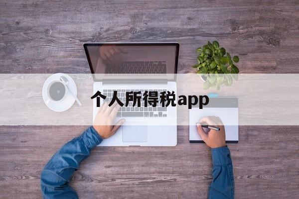 个人所得税app(个人所得税app正版官方下载)