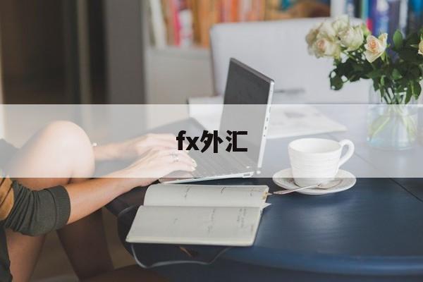 fx外汇(FX外汇联盟)